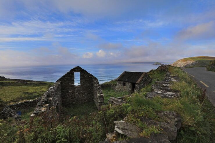 Dingle Day Tour From Limerick - Activity Details