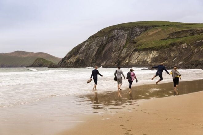 Dingle Day Tour From Limerick - Tour Itinerary