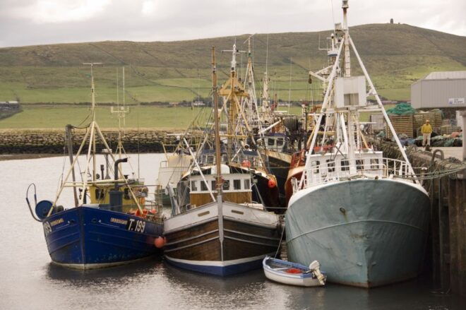 Dingle Day Tour From Limerick - Customer Reviews