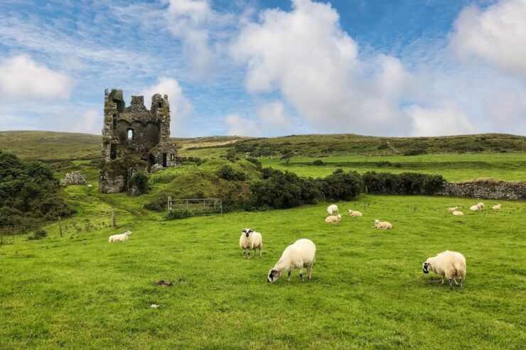 Dingle: Heritage Photo And Sightseeing Tour - Good To Know