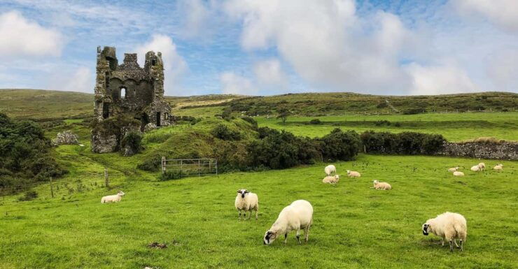 Dingle: Heritage Photo And Sightseeing Tour - Booking Information