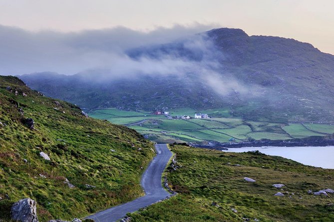 Dingle Peninsula & Slea Head Private Day Tour - Additional Information