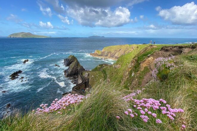 Dingle: Slea Head Photo And Sightseeing Tour - Scenic Roads and Coastline