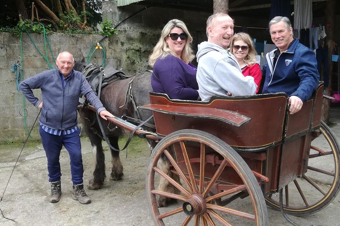 Dingle Town & Peninsula Private Chauffeur Driven Day Tour From Killarney Luxury - Pricing and Booking Information
