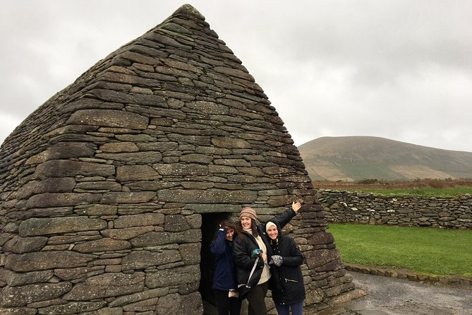 Dingle Town & Peninsula Private Chauffeur Driven Day Tour From Killarney Luxury - Common Questions