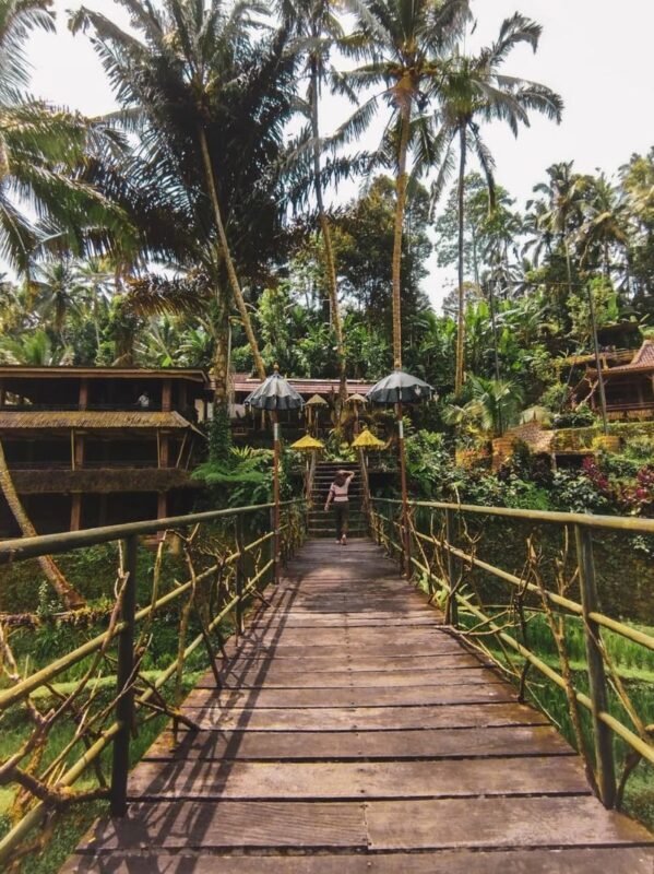 Dining Experience at Boni Bali Restaurant Ubud - Vegetarian meals, gluten intolerance, and allergies