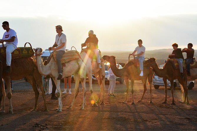 Dinner and Camel Ride in the Marrakech Agafay Desert - Helpful Customer Support