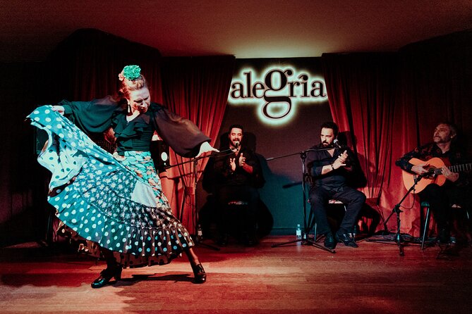 Dinner and Show at Alegría Flamenco & Restaurant in Malaga - Reviews