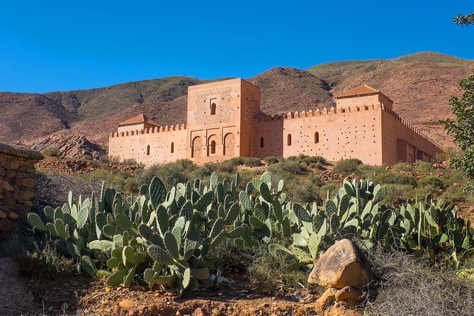 Dinner at Agafay Desert Fram Marrakech With Camel Ride and Sunset Views - Ratings Breakdown