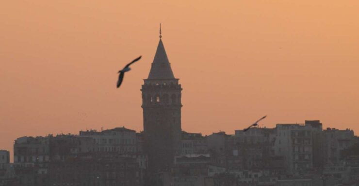 Dinner Cruise From Istanbul Airport - Cruise Experience on the Bosphorus