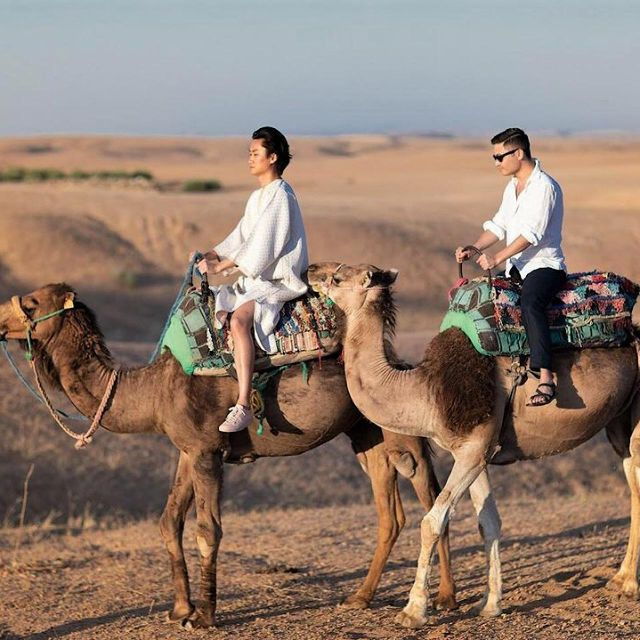 Dinner in Agafay Desert From Marrakech & Camel Riding - Experience Highlights