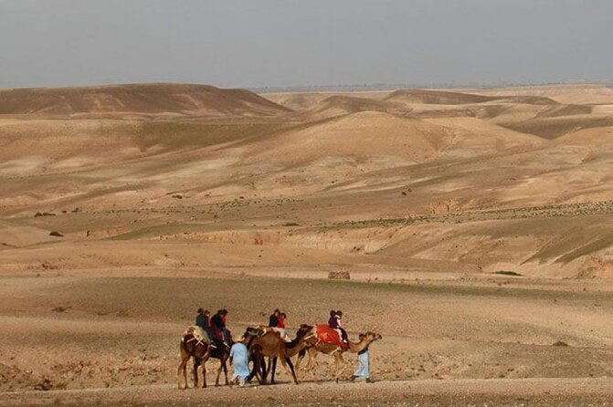 Dinner in Agafay Desert With Camel Ride or Quad Bike - Cancellation Policy