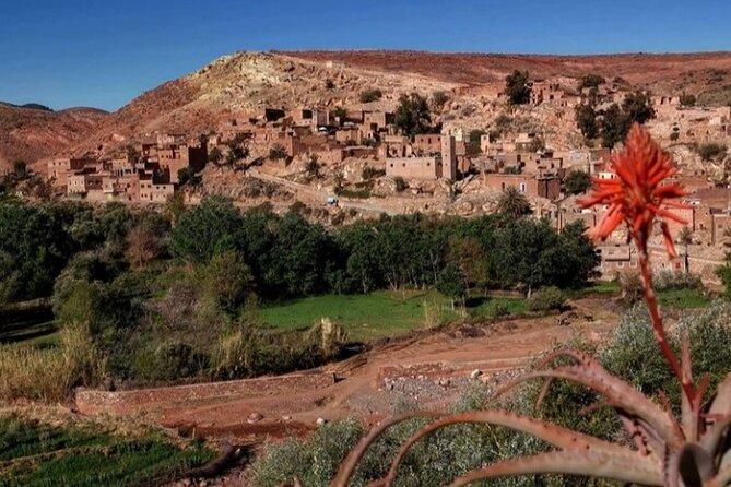 Dinner in Agafay Desert With Sunset and Camel Ride - Booking Confirmation and Accessibility