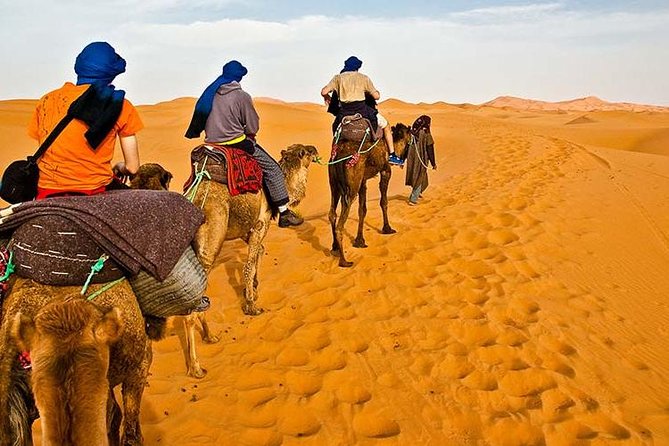 Dinner in Desert Ras Al Khaimah - Delicious Dinner and Entertainment