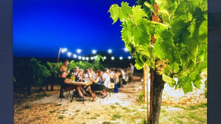 Dinner in the Vineyard and Wine Tasting Under the Stars - Wine Pairings