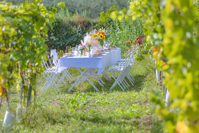 Dinner in the Vineyard French Riviera - Reviews and Ratings