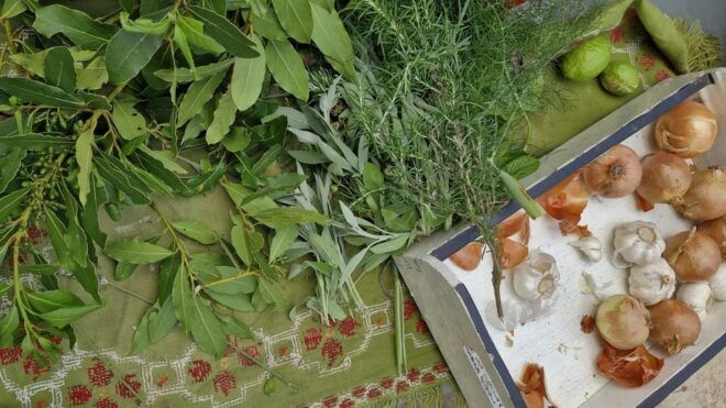 Dinner or Cooking Class in a UNESCO-Protected Family Field - Activity Details