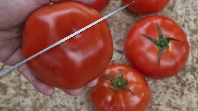 Dinner or Cooking Class in a UNESCO-Protected Family Field - Customer Experiences