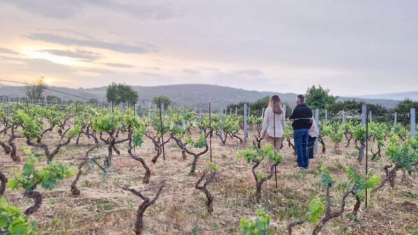 Dinner or Cooking Class in a UNESCO-Protected Family Field - Booking Information
