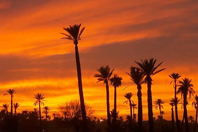 Dinner Show and Sunset Camel Riding Agafay Desert - Pricing and Group Size Options