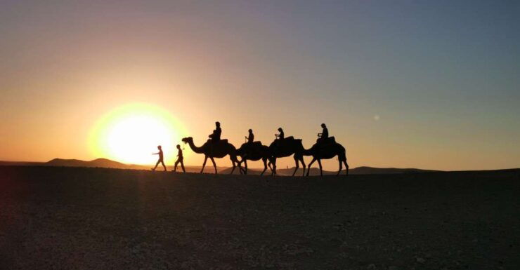 Dinner Show and Sunset Camel Riding at Agafay Desert - Highlights of the Activity