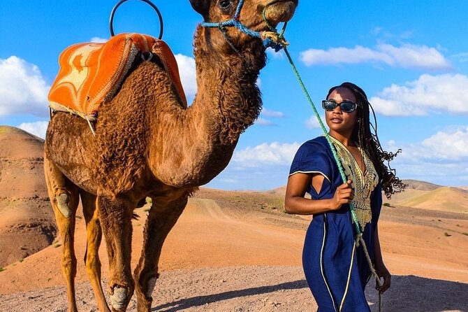 Dinner Show Camel Ride With Sunset - Positive Traveler Reviews and Ratings