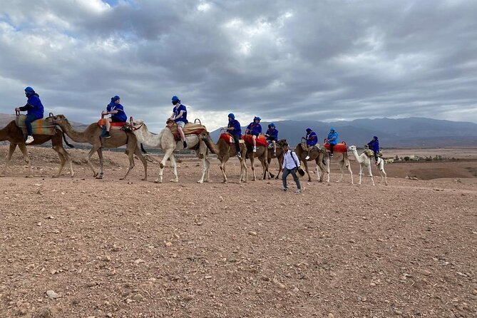 Dinner Show With Camel Ride Agafay Desert - Personalized Menu Preparation