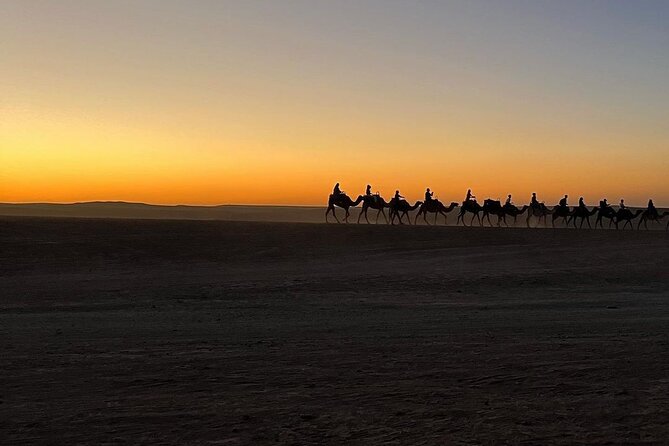Dinner Show With Quads & Camels and Sunset in Agafay Desert - The Sum Up