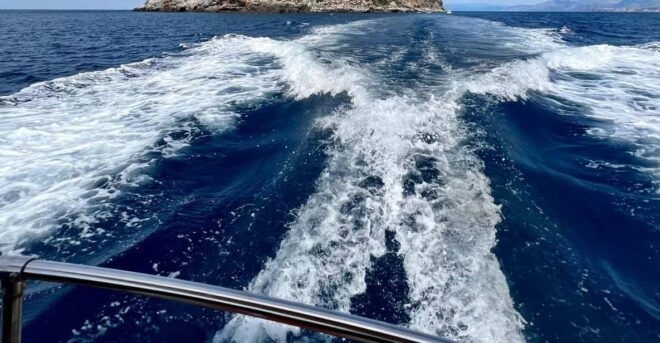 Dino Island & Arcomagno Eco-Boat Tour - Inclusions