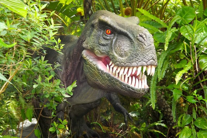 Dino Park Yanbaru Subtropical Forest Ticket in Okinawa - At a glance