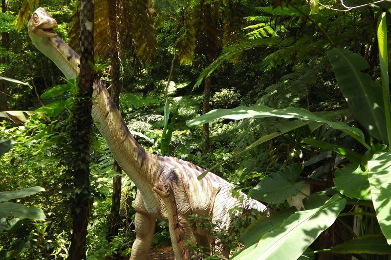 Dino Park Yanbaru Subtropical Forest Ticket in Okinawa - A forest walk with a dinosaur surprise around each bend