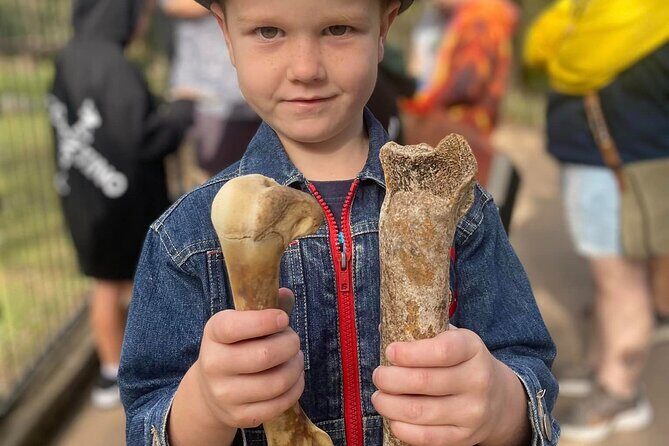 DINOSAUR and FOSSIL ZOO TOUR Rockhampton - Starting Point and First Impressions