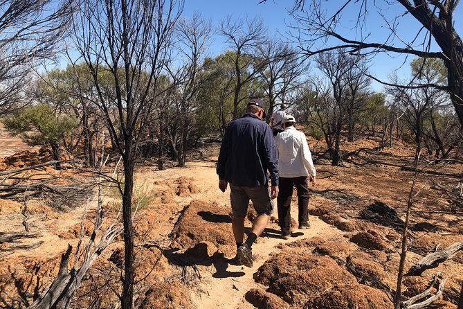 Dinosaur Stampede 3/4 Day Tour from Winton - The Itinerary in Detail