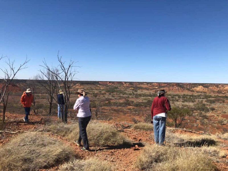 Dinosaur Stampede 3/4 Day Tour - FAQs