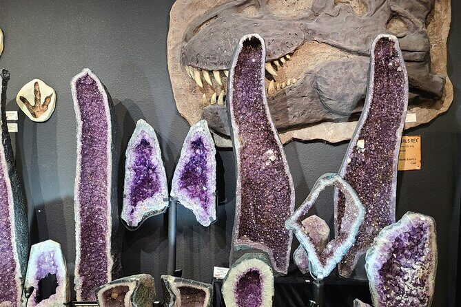 Dinosaur World Glen Rose - Good To Know  