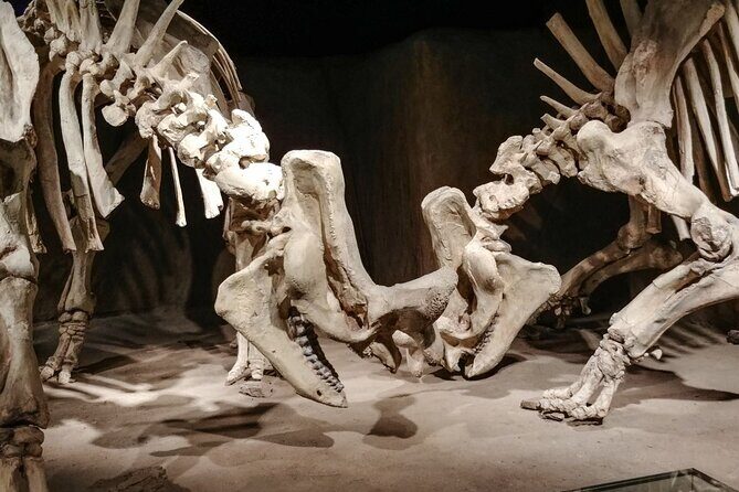 Dinosaurs, Canyons & Ghost Towns: Ultimate Drumheller Day Tour - An In-Depth Look at the Tour Itinerary