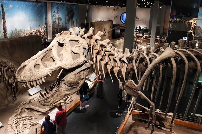 Dinosaurs, Canyons & Ghost Towns: Ultimate Drumheller Day Tour - Who Should Consider This Tour