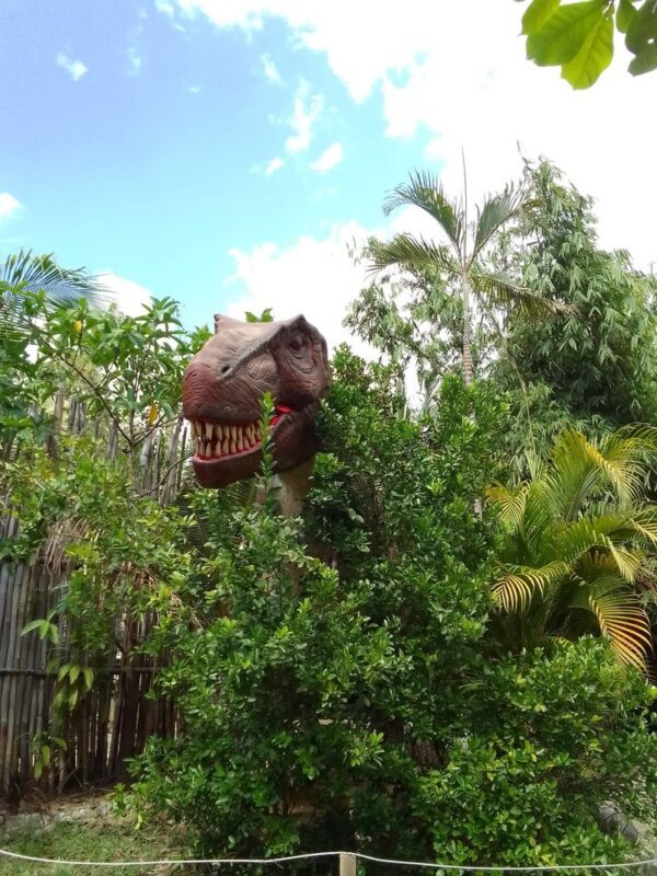 Dinosaurs Island Ilocos Ticket - How long to stay, and what the size means