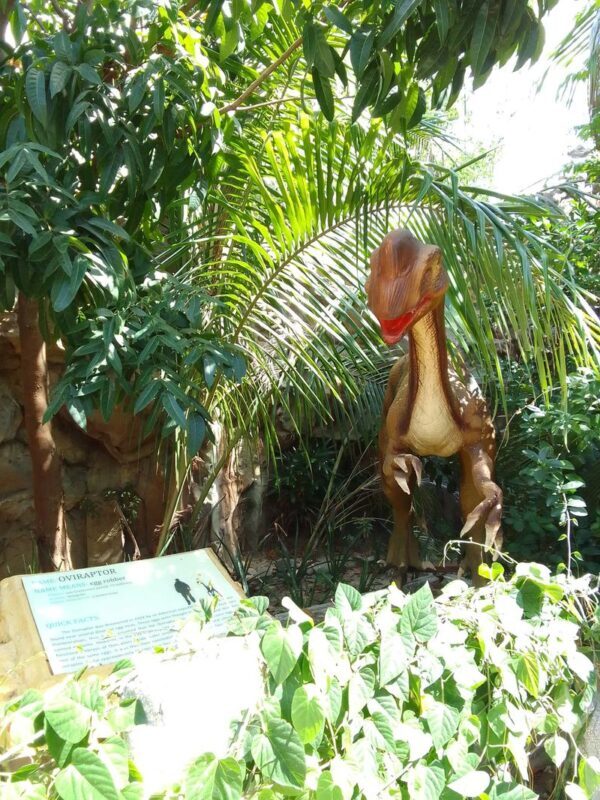 Dinosaurs Island Ilocos Ticket - Is the ticket good value?