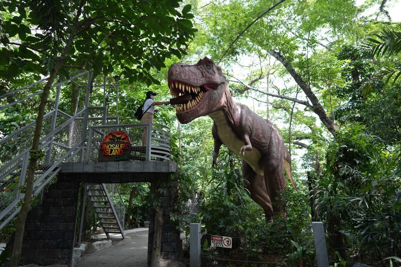 Dinosaurs Island Ticket in Clark - At a glance