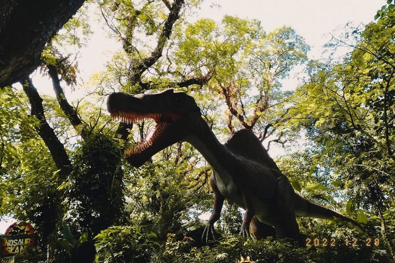 Dinosaurs Island Ticket in Clark - Who should go, and who might skip it