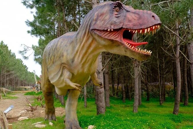 Dinosaurs Park - Family Half Day Tour - Good To Know