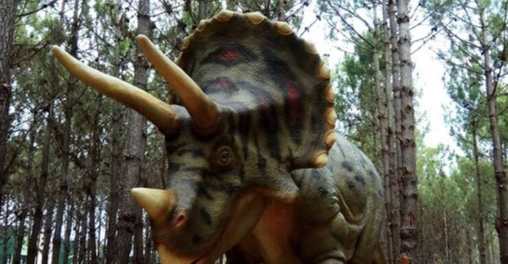 Dinosaurs Park - Family Half Day Tour - Tour Details