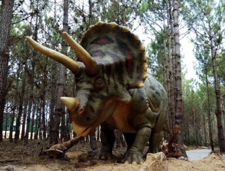 Dinosaurs Park - Family Half Day Tour - Highlights