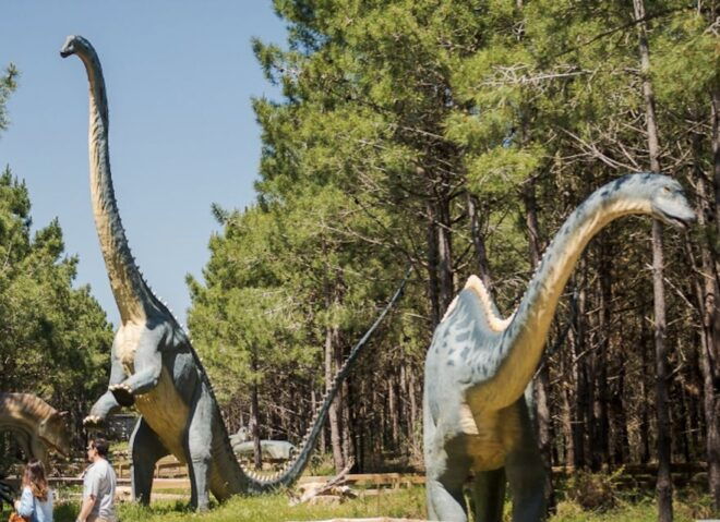 Dinosaurs Park - Family Half Day Tour - Activity Description
