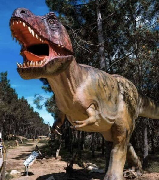Dinosaurs Park - Family Half Day Tour - The Sum Up