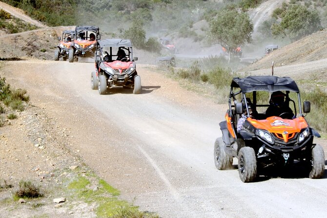 Dirt & Dust Buggy Tour - Tour Overview