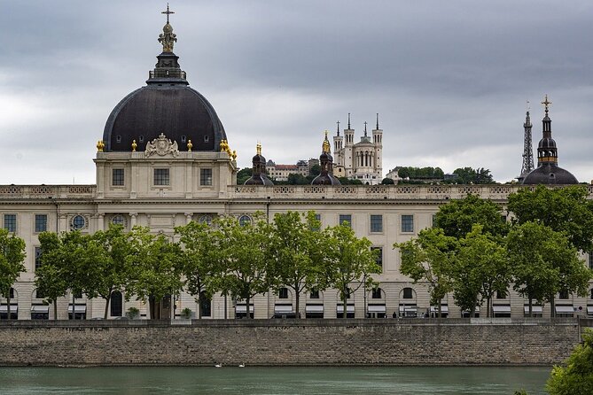 Discorver Lyon in a Private Tour With Your Driver - Customizable Itinerary
