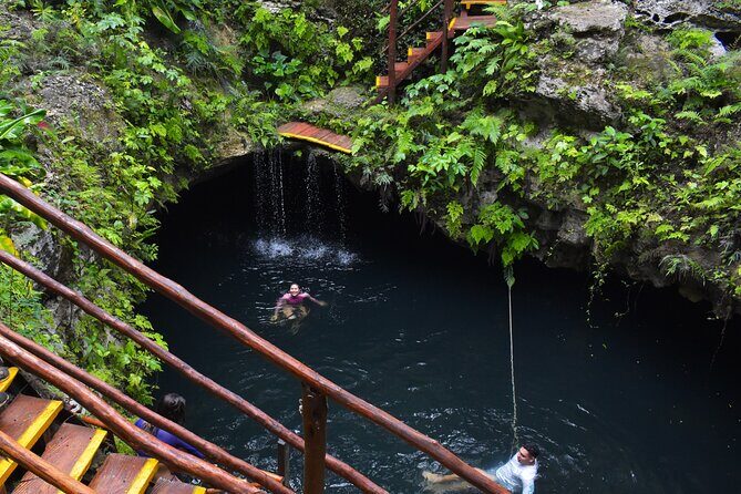 Discover 3 amazing cenotes. Includes transport & snack - The Experience: A Deep Dive into the Day’s Journey