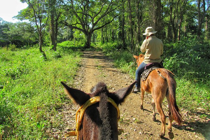 Discover a Nature Reserve on Horseback - Good To Know